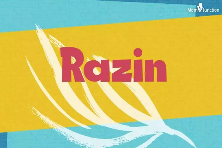 Razin Stylish Wallpaper