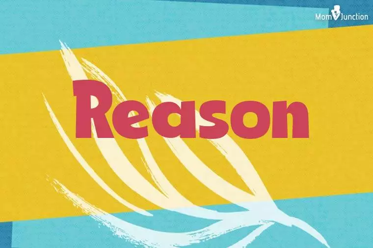 Reason Stylish Wallpaper