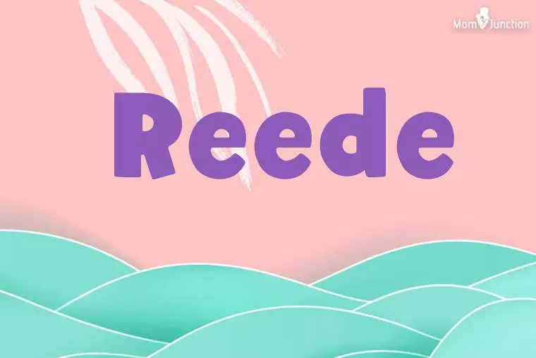 Reede Stylish Wallpaper