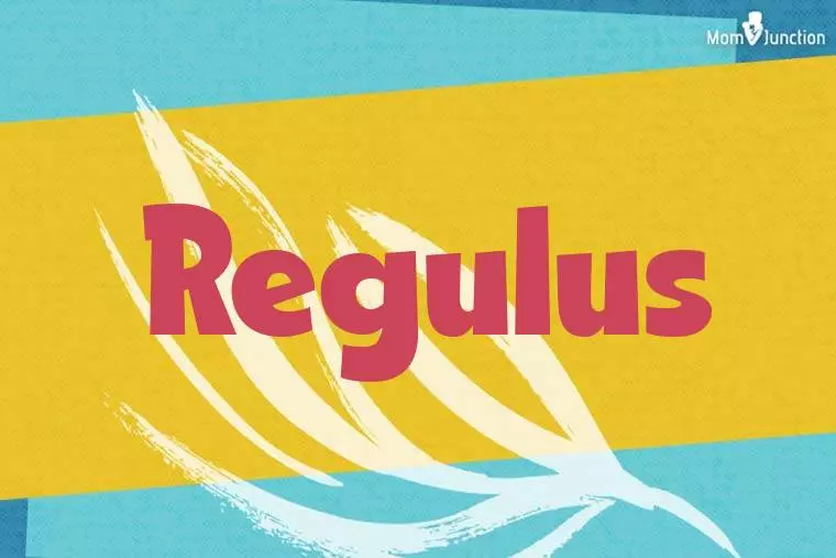 Regulus Stylish Wallpaper