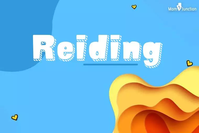 Reiding 3D Wallpaper