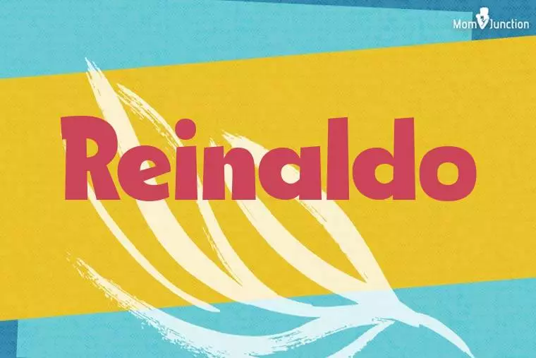 Reinaldo Stylish Wallpaper