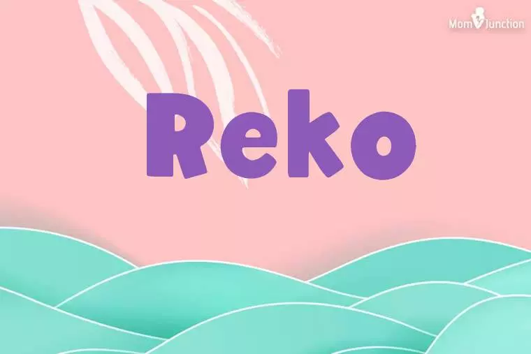 Reko Stylish Wallpaper