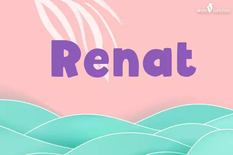 Renat Stylish Wallpaper