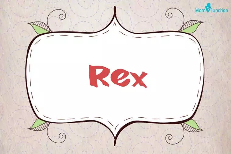 Rex Stylish Wallpaper