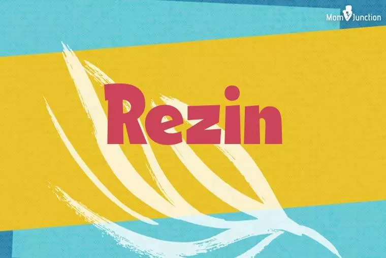 Rezin Stylish Wallpaper