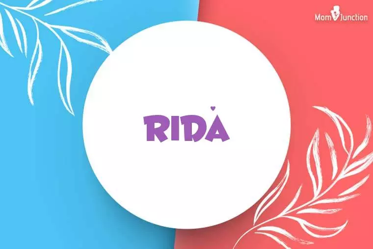 Rida Stylish Wallpaper