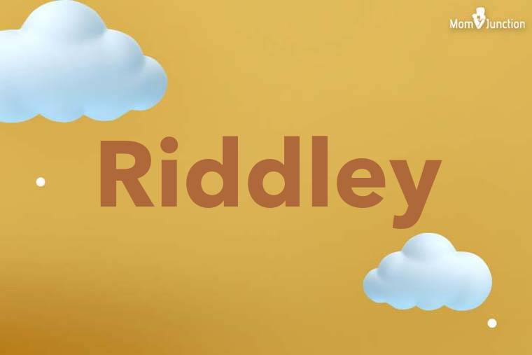 Riddley 3D Wallpaper