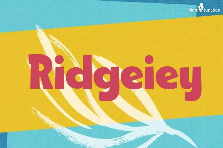 Ridgeiey Stylish Wallpaper