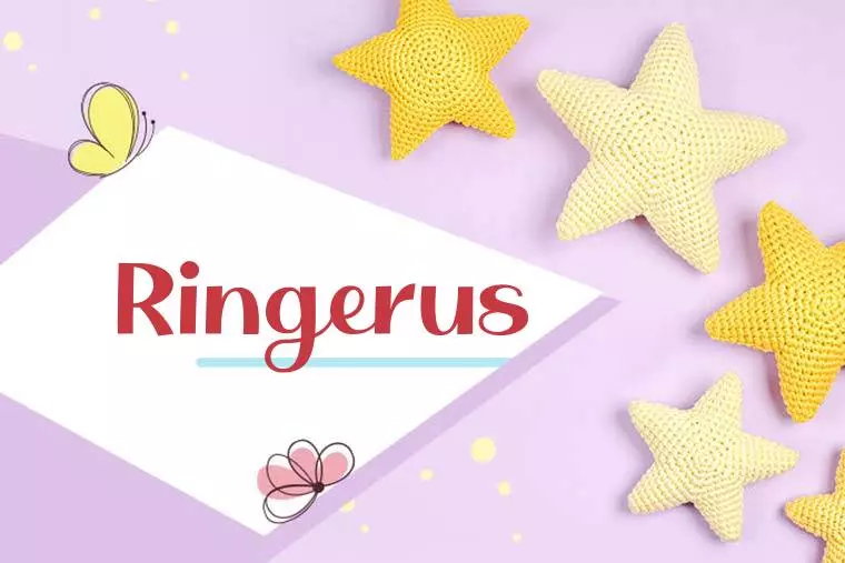 Ringerus Stylish Wallpaper