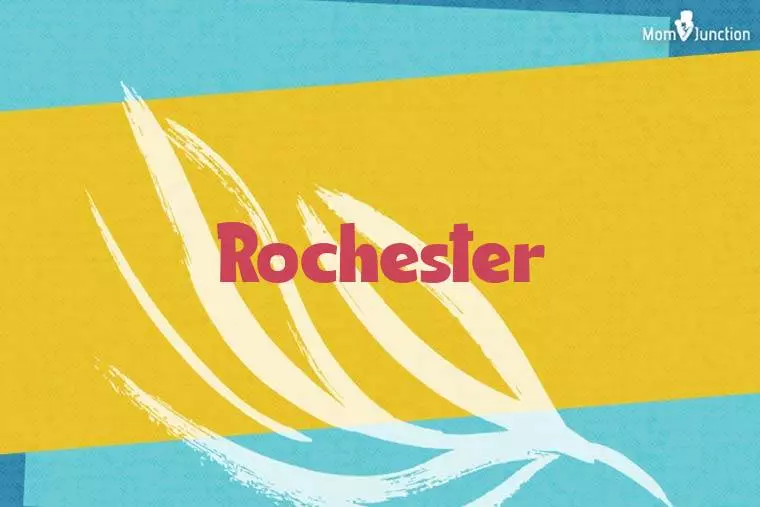 Rochester Stylish Wallpaper