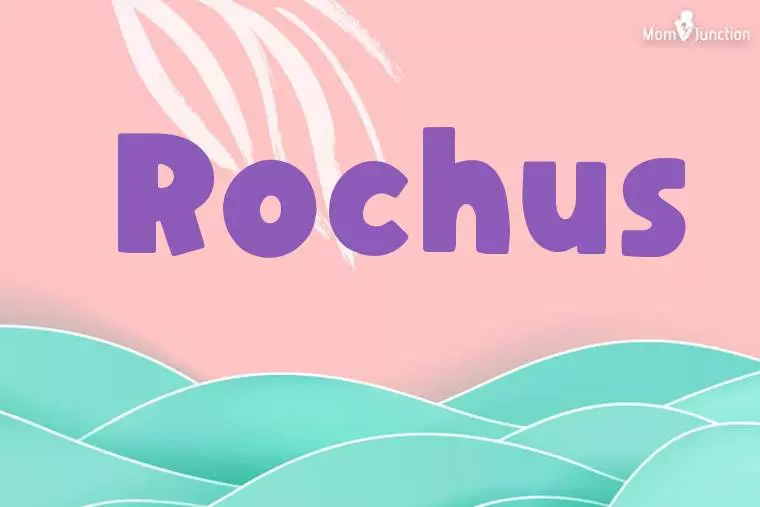 Rochus Stylish Wallpaper