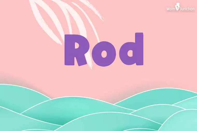 Rod Stylish Wallpaper