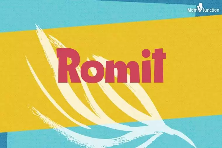 Romit Stylish Wallpaper