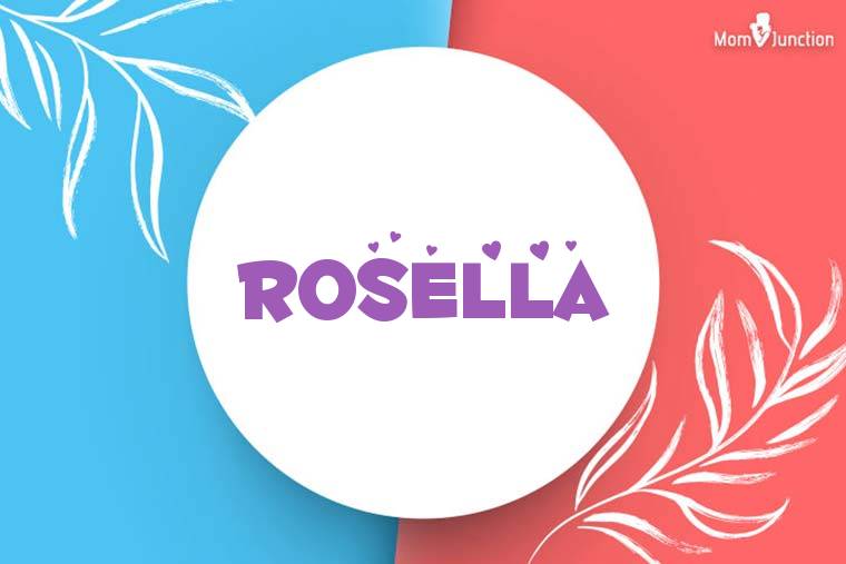 Rosella Stylish Wallpaper