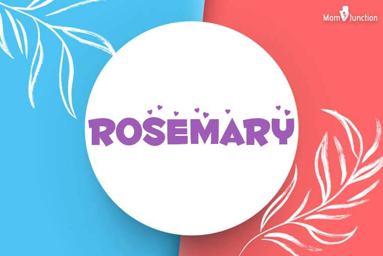 Rosemary Stylish Wallpaper