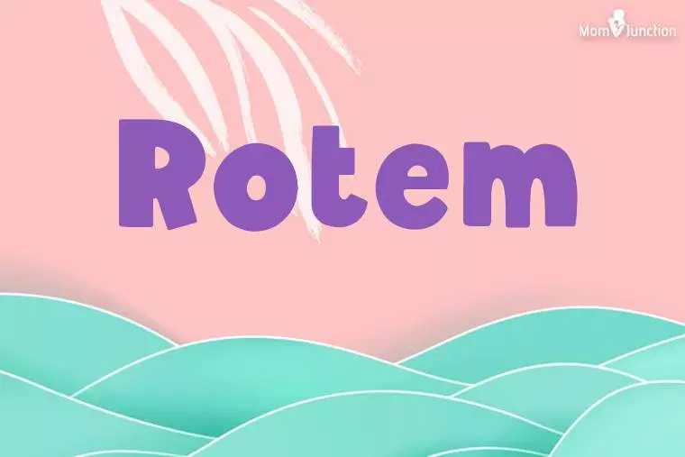 Rotem Stylish Wallpaper