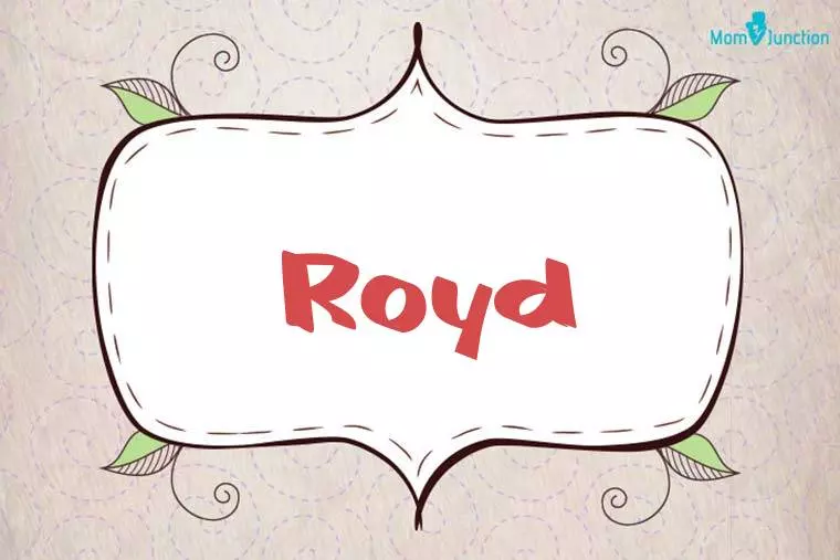 Royd Stylish Wallpaper