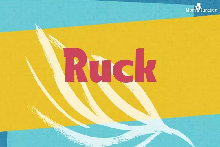 Ruck Stylish Wallpaper