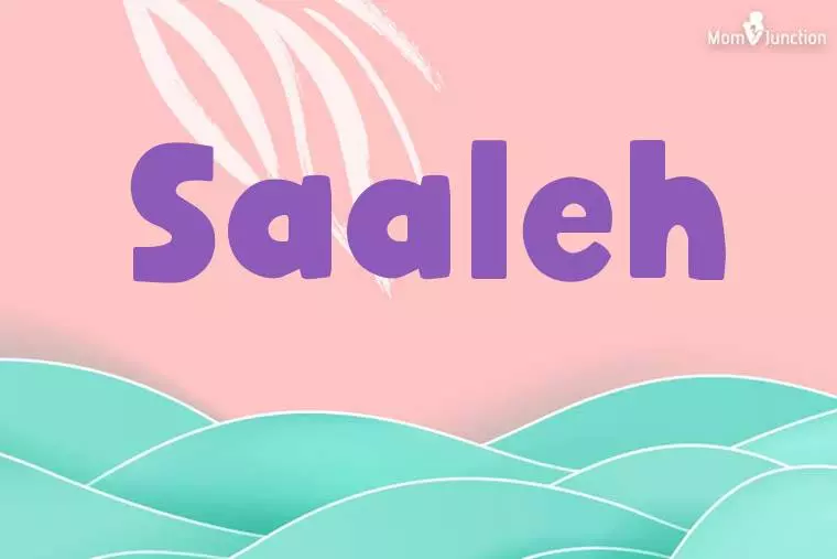 Saaleh Stylish Wallpaper