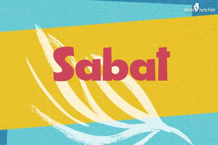 Sabat Stylish Wallpaper