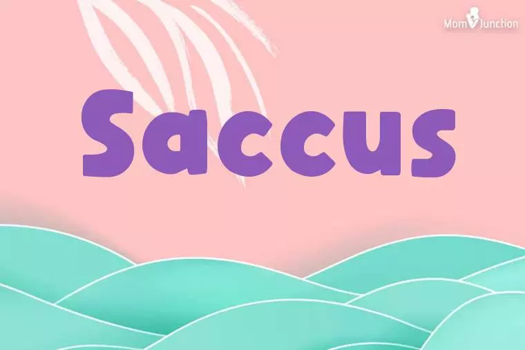 Saccus Stylish Wallpaper