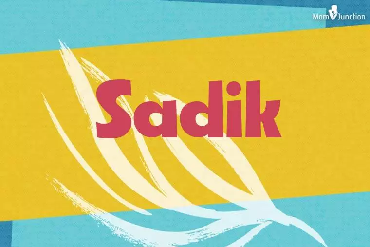 Sadik Stylish Wallpaper