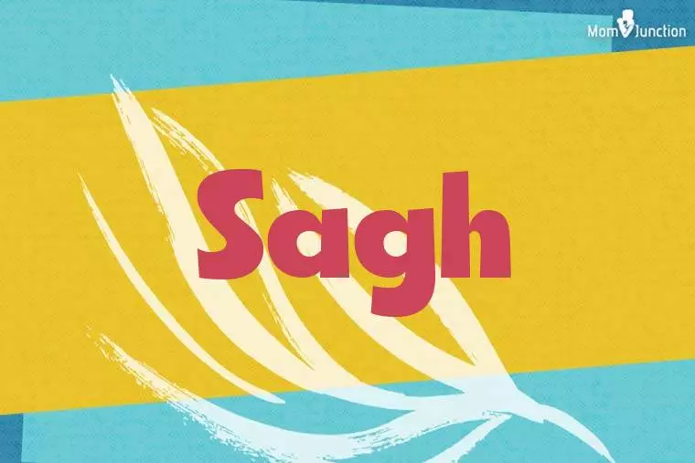 Sagh Stylish Wallpaper