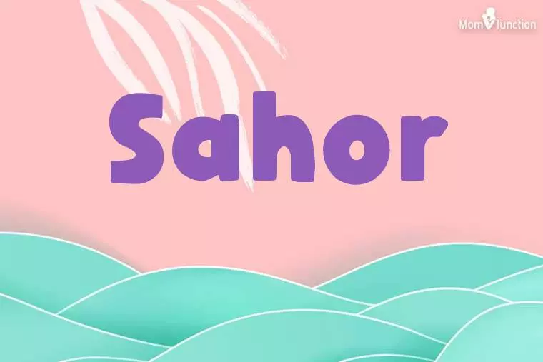 Sahor Stylish Wallpaper