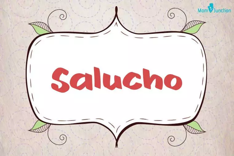 Salucho Stylish Wallpaper