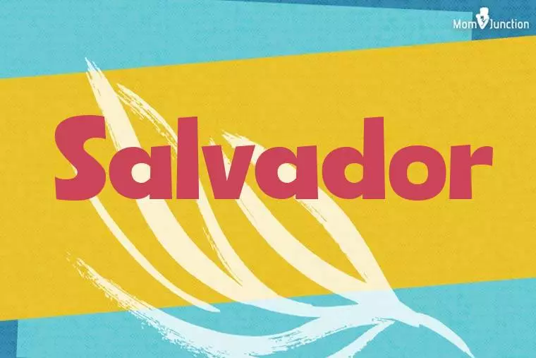 Salvador Stylish Wallpaper