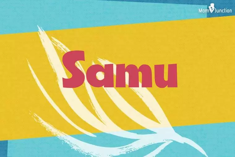 Samu Stylish Wallpaper