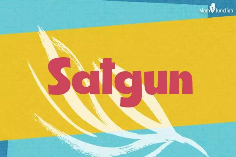 Satgun Stylish Wallpaper