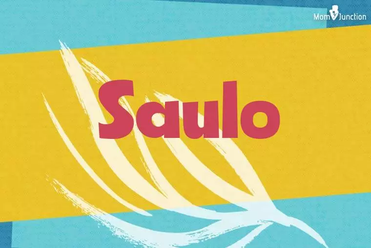 Saulo Stylish Wallpaper