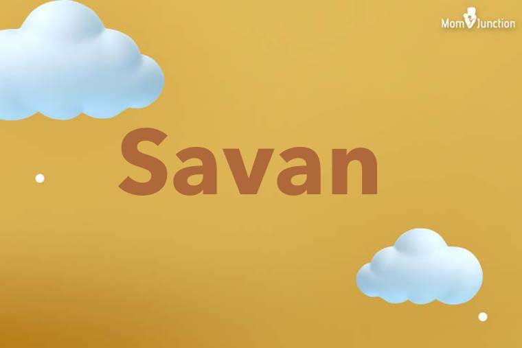 Savan 3D Wallpaper