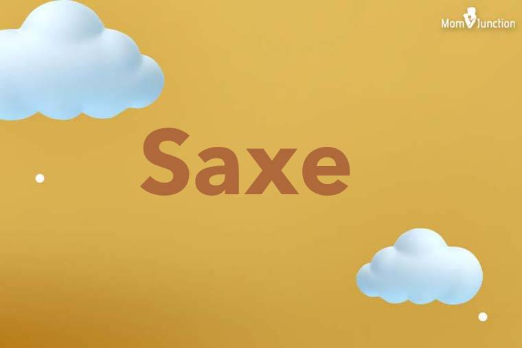 Saxe 3D Wallpaper