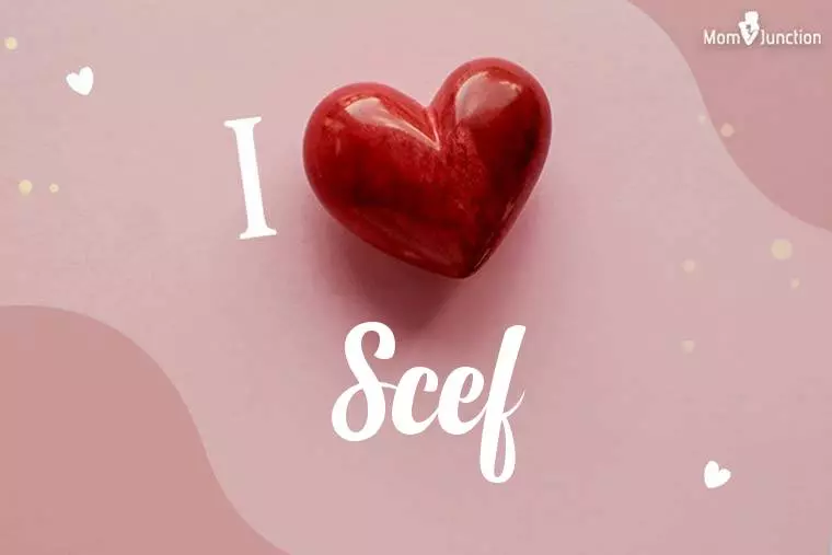 I Love Scef Wallpaper