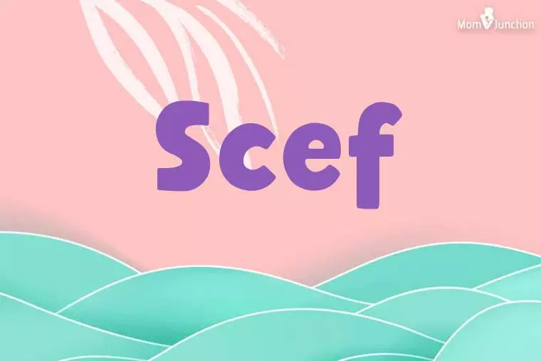 Scef Stylish Wallpaper