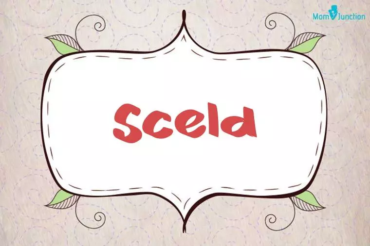 Sceld Stylish Wallpaper