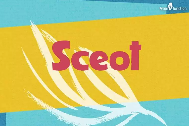 Sceot Stylish Wallpaper