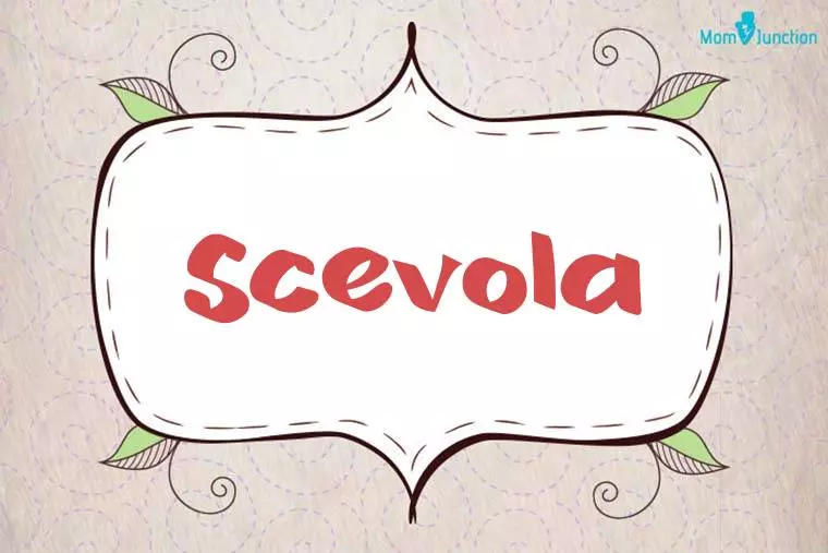 Scevola Stylish Wallpaper