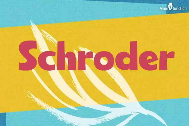 Schroder Stylish Wallpaper