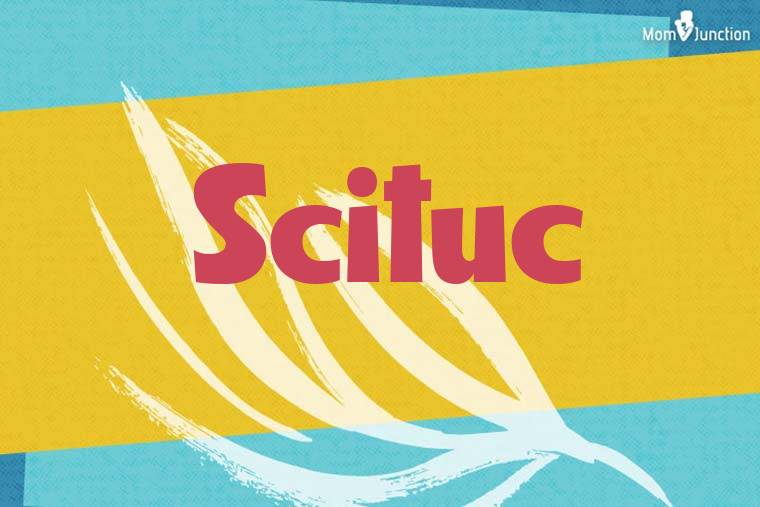 Scituc Stylish Wallpaper