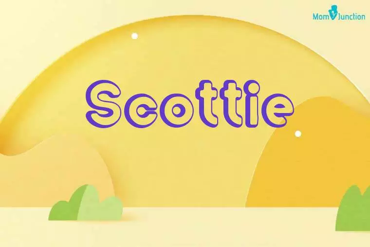 Scottie 3D Wallpaper