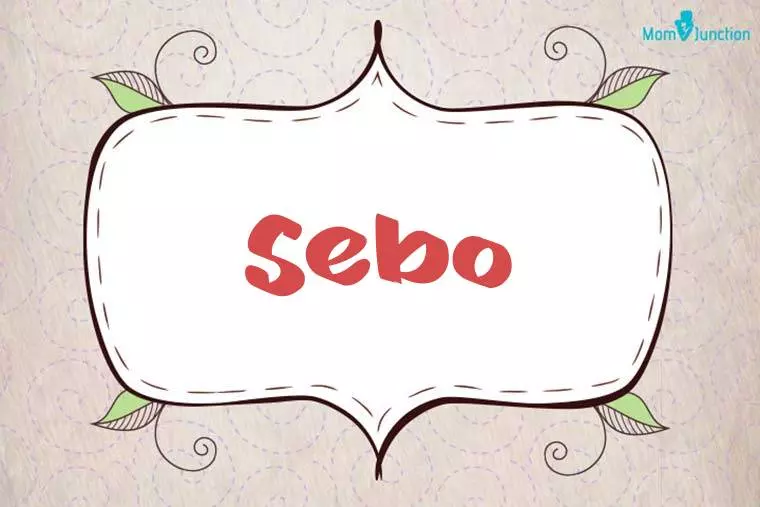 Sebo Stylish Wallpaper