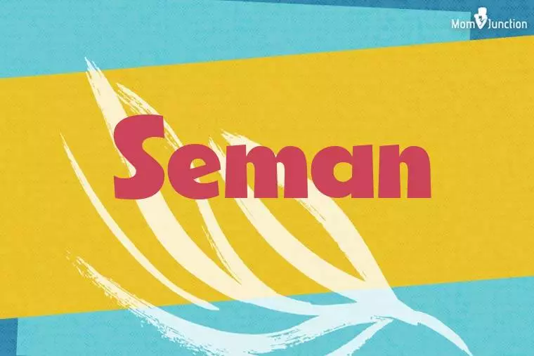 Seman Stylish Wallpaper