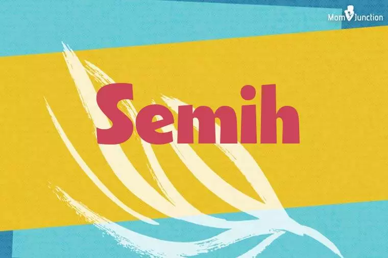 Semih Stylish Wallpaper