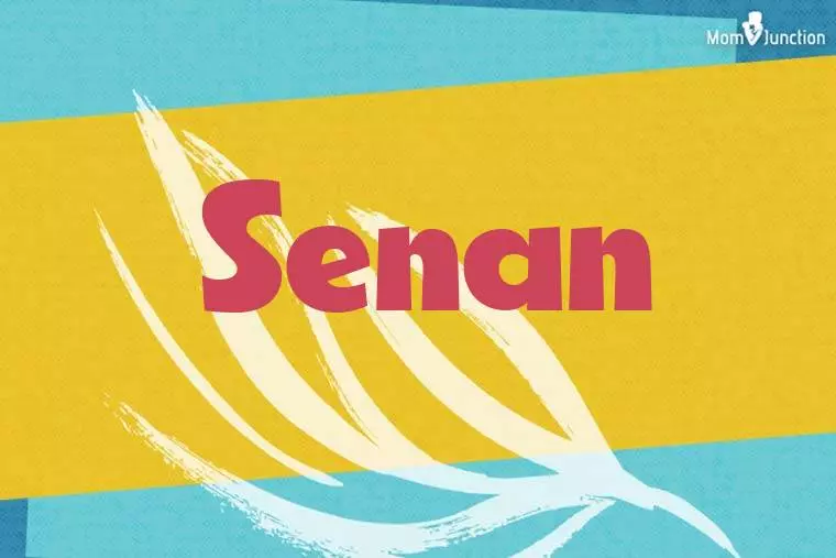 Senan Stylish Wallpaper