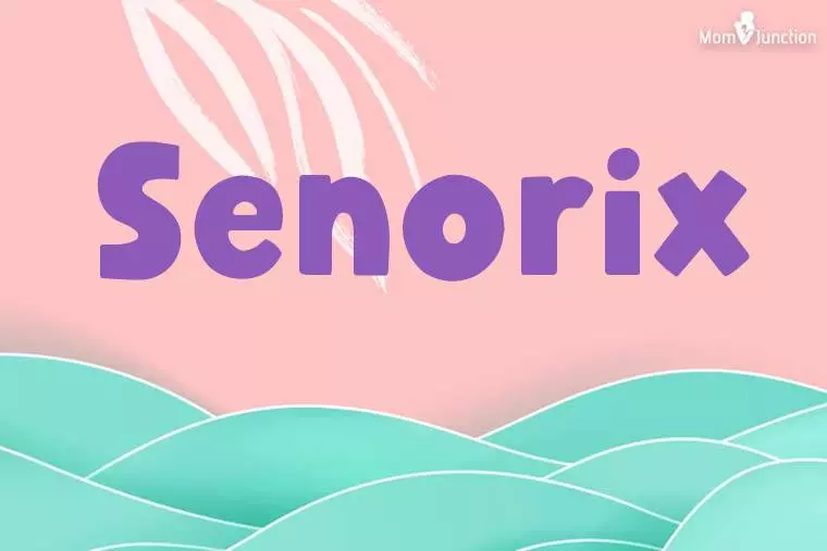 Senorix Stylish Wallpaper