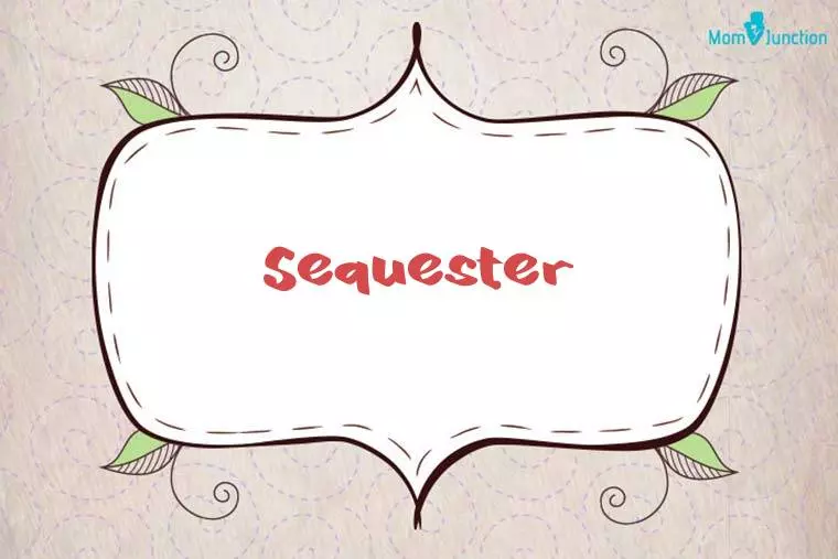 Sequester Stylish Wallpaper